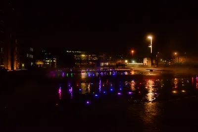 DSC_0712 (Large).JPG